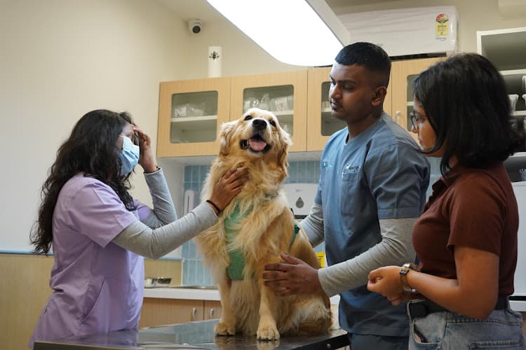 Supertails Koramangala Pet Clinic & Grooming Centre