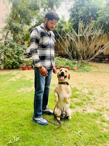 Pankaj dog trainer &boarding house