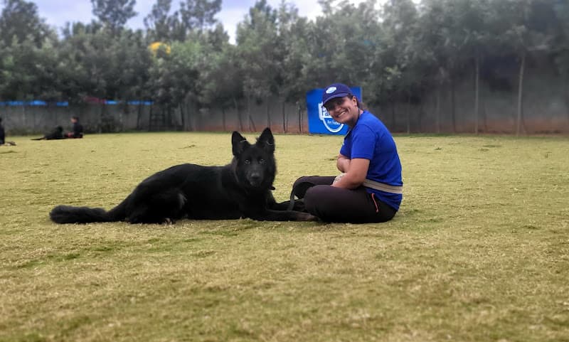 The K9 Service - Dog behaviourist/ Dog Trainer/ Petsitter