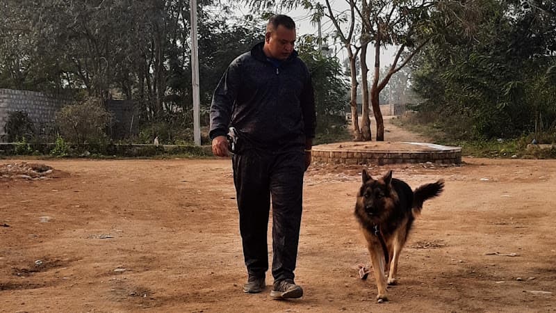 Caninescoach Dog training డాగ్ ట్రైనింగ్