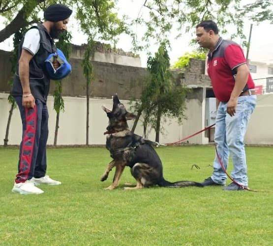 Dog Trainer Mr.Rakesh