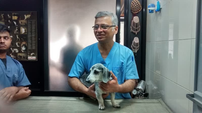 Zigly Petcare 24x7 Multi-Speciality Pet Hospital I Small Animal Clinic & Surgical Center