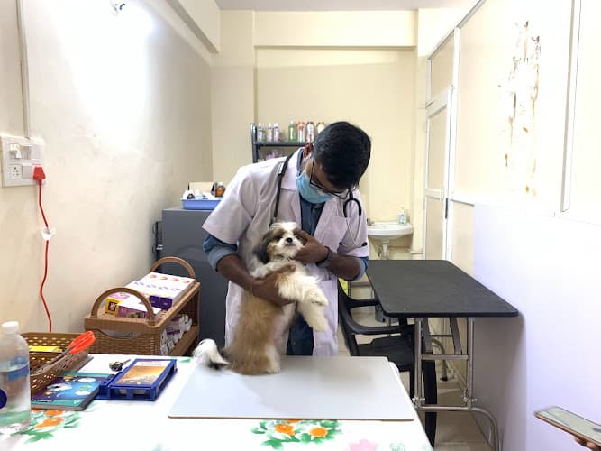 Scoopy Scrub & Pet Bites Bachupally - Pet Grooming Salon, Pet Food, Pet Shop, Pet Clinic, Pet Boarding