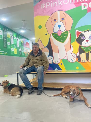 DCC Animal Hospital Jaipur