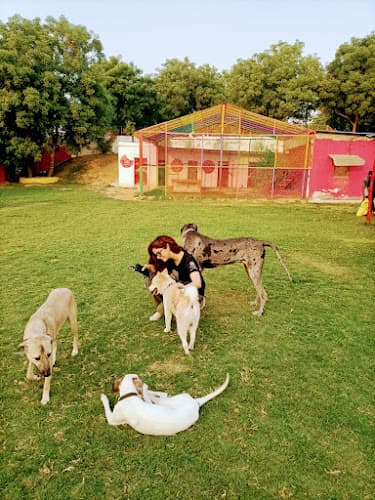 Kaiden2Kats Foundation