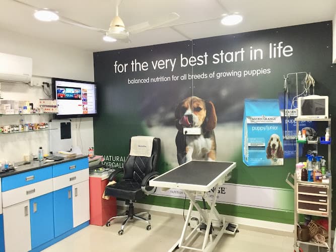 DR. PALLAB SAIKIA | MAGARPATTA | UNDRI-NIBM