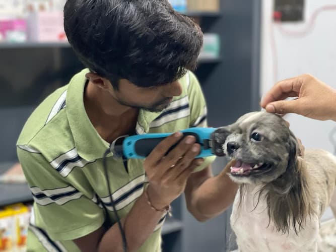 LeelaVet Multispeciality Veterinary Hospital