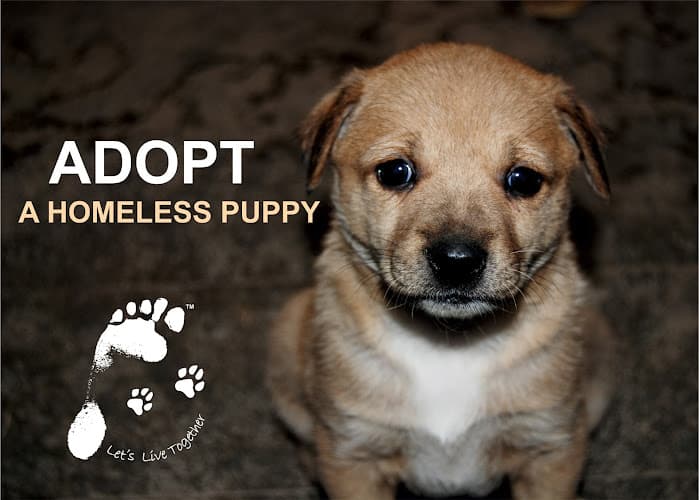 Let’s Live Together NGO Office