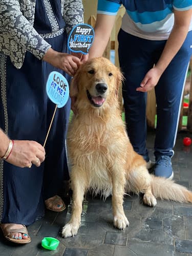 BARKER AND MEOWSKY - THE PAWFIRM LLP