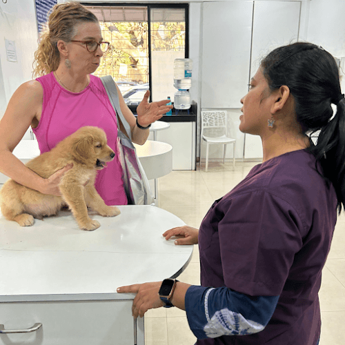 Pet Aid Clinic