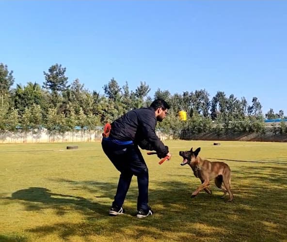 Rohan Kulkarni - Dog Trainer In Navi Mumbai