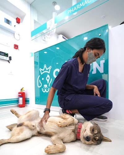 Crown Vet Banjara Hills