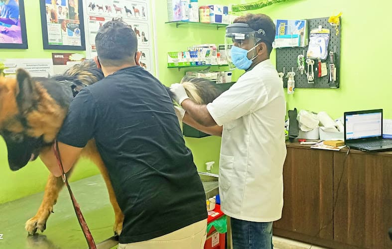 PULPA'S VETERINARY CLINIC [ Pet Grooming, Pet Accessories, Pet food ,Veterinary Medicine ]