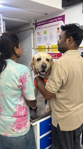 AmVet | Pet Clinic | Doctor | Hadapsar