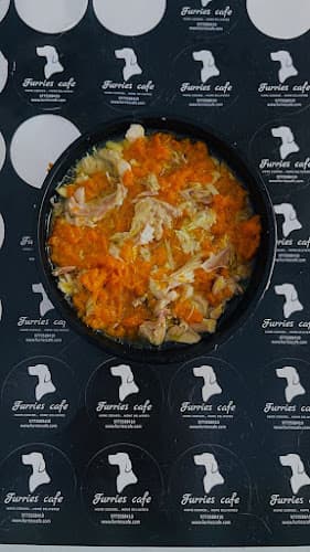 Furries Cafe | Best dog food kitchen in Pune