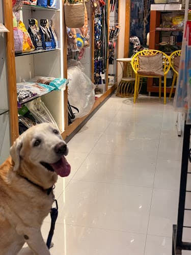 Comb & Collar Pet Grooming, Training, Pet supplies and 24/7 cage free Boarding