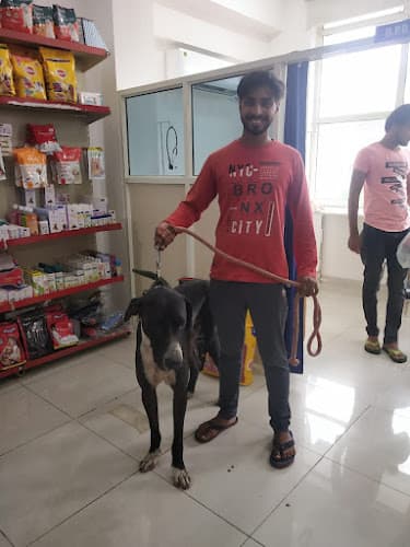 Fit Pets Veterinary Clinic