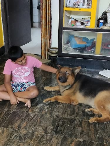 Petman Boarding, Pet Stay , Veterinary Hospital, Bird vet