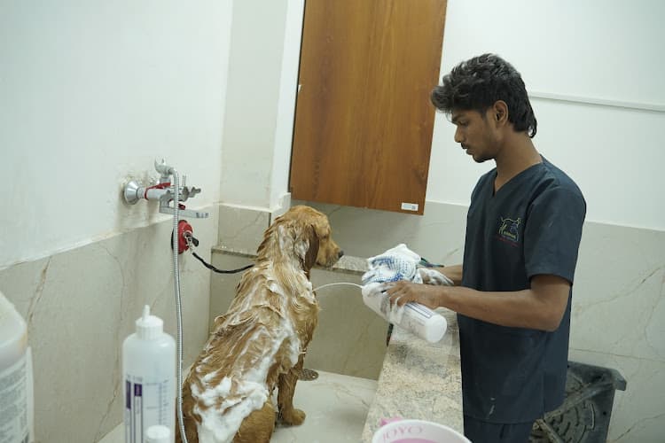 Seven Oaks Pet Boarding & Grooming