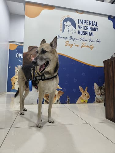 Imperial Veterinary Hospital