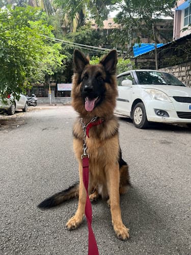 Anand K9 Training Centre