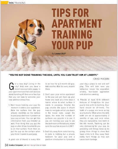 Leena Ukil - The Familee Dog Trainer and Behaviourist