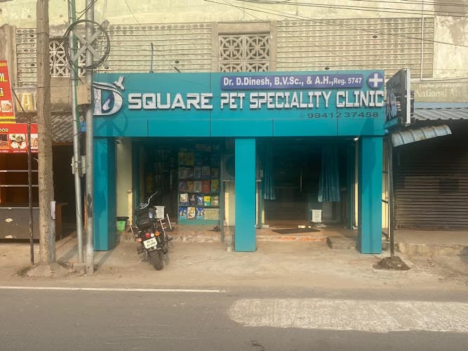D SQUARE PET SPECIALITY CLINIC