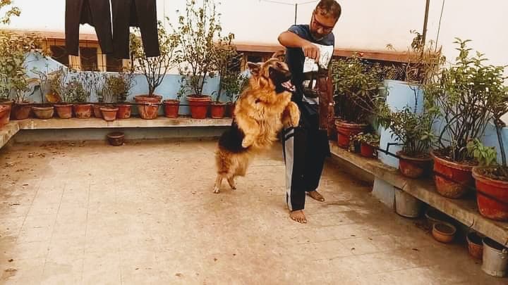 Dog Trainer and Behaviorist - Arijit Pathak