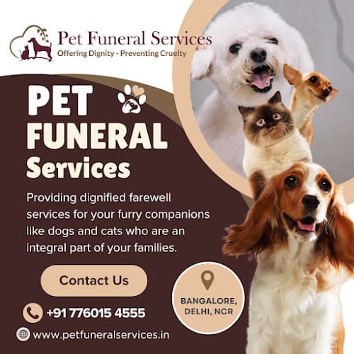Pet Funeral Services