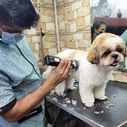 Pet Pamperer Pet Grooming Salon & School