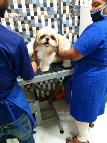 Scoopy Scrub & Pet Bytes - Pet Grooming Salon