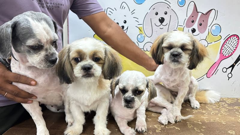 Nail to Tails Pet Grooming Parlour