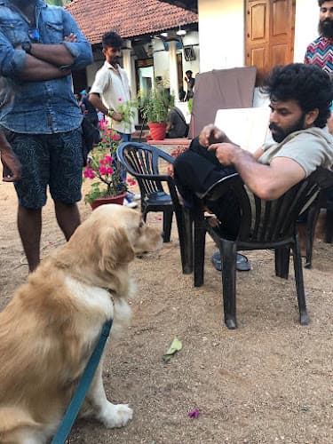 K9 SPOT DOG TRAINING & HOSTEL