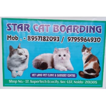 Star Cat Boarding - Cat Boarding Service in Noida