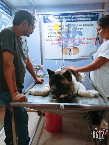 SAXENA PET CARE CLINIC (#1 Best Pet Grooming, Treatment ,Vaccination & Surgical Centre for dogs and cats in Gaur City)