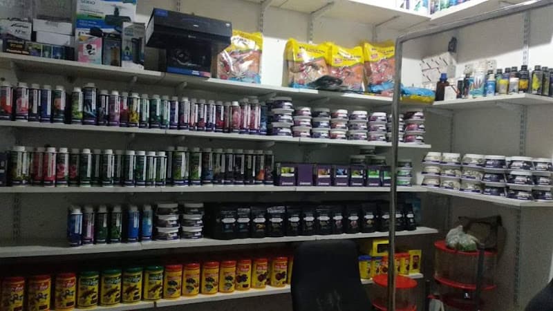 Aquariums India - Your trusted aquarium store since 2006