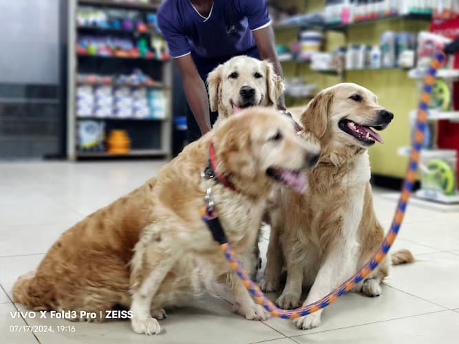 vets4pets Hospital Noida