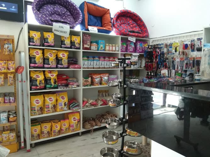 Cessna Lifeline Veterinary Hospital, Gurugram