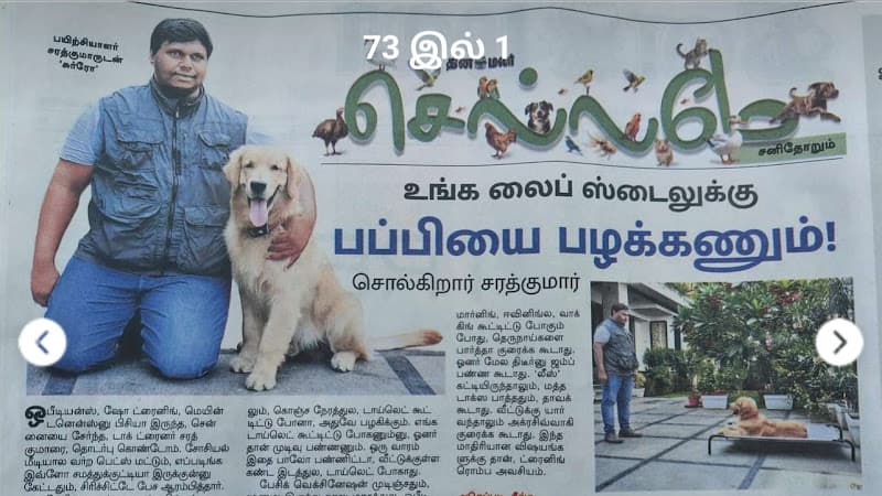 Obey K9 Dog Training