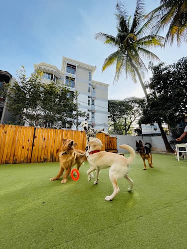 Becky's Bow Wow House