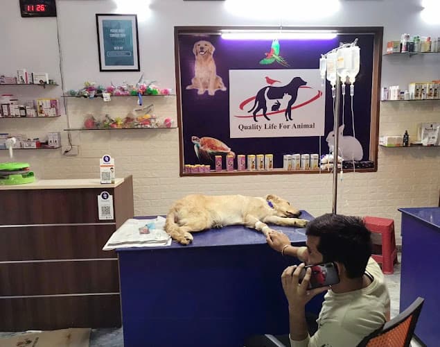 Pet Tales Veterinary Clinic (#1 Best Pet (Dog/Cat) Clinic in Sector 71 Noida)