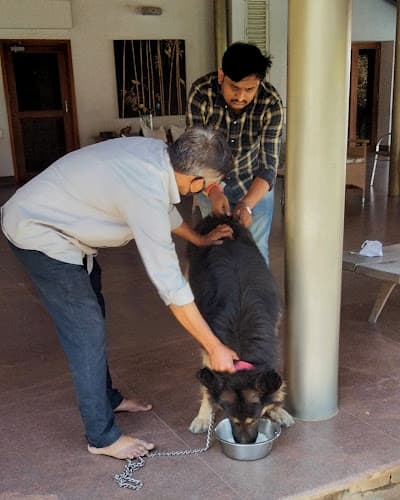 Doggy and cat care clinic