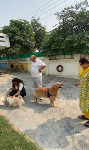 Pawsome pet services