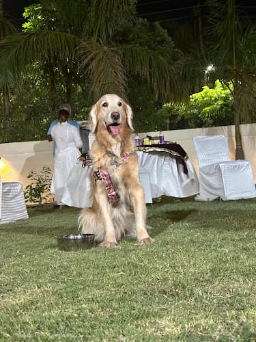 Poochkins - Dog boarding Noida