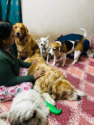 Sadgi’s dog home boarding