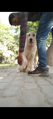 PRAVEEN DOG TRAINER & BOARDING CENTER