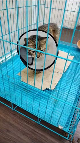 Prani's Veterinary clinic