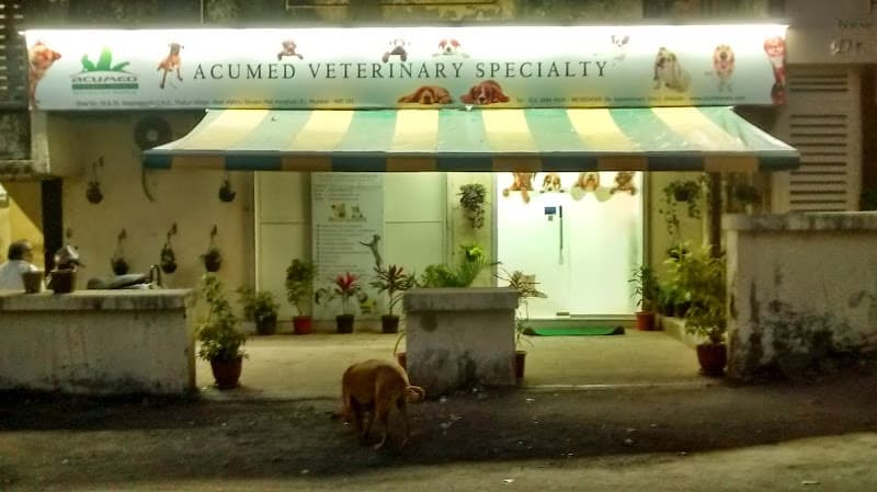 AcuMed Veterinary Specialty | Referral Veterinary Neurology Clinic , Mumbai