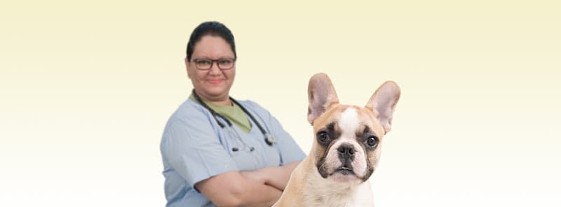 Dr. Sunetra's PetVet Veterinary Clinic - Exotic Pets