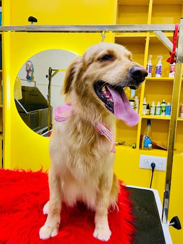 Kross Paaws - Pet Grooming Studio & Boarding Services